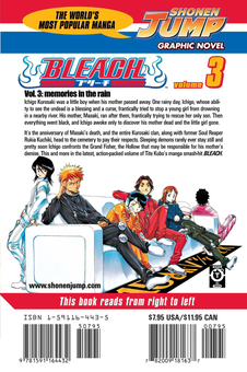 Бумажная книга «Bleach. Volume 3», автор Тайто Кубо - фото №2 - миниатюра