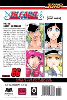 Паперова книга «Bleach. Volume 66», автор Тайто Кубо - фото №2 - мініатюра