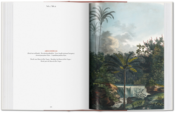 Паперова книга «Martius: The Book of Palms», автор Вальтер Лек - фото №3 - мініатюра