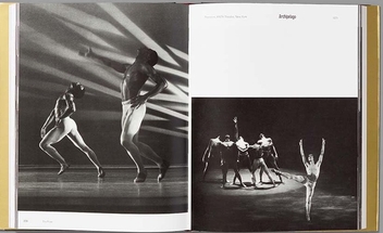Бумажная книга «Edges of Ailey», автор Адриенн Эдвардс - фото №3 - миниатюра