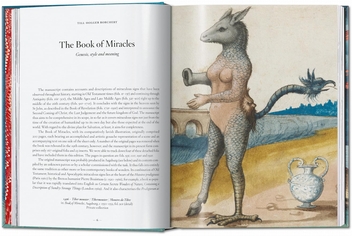 Бумажная книга «The Book of Miracles», автор Тилль-Хольгер Борхерт - фото №2 - миниатюра