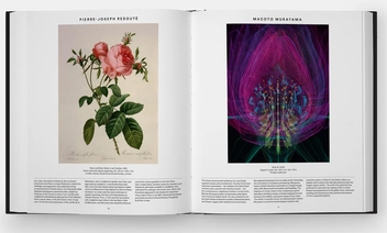 Бумажная книга «Plant: Exploring the Botanical World», автор Редакторы "Phaidon" - фото №2 - миниатюра