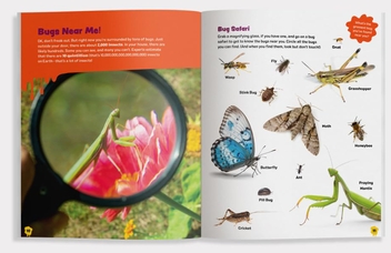 Бумажная книга «The Grossest Bug Activity Book EVER!», автор Спрус Букс - фото №3 - миниатюра