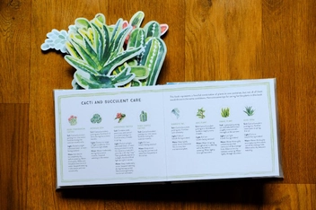 Бумажная книга «Succulents in a Book. Jacket Comes Off. Plants Pop Up. Display on Your Desk!», автор Молли Хэтч - фото №5 - миниатюра