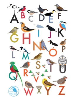 Паперова книга «I Like Birds: An Alphabet of Birds Address Book» - фото №1 - мініатюра