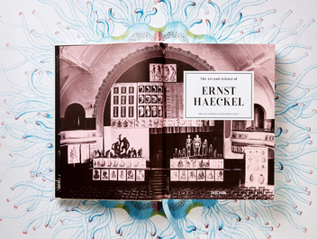Бумажная книга «The Art and Science of Ernst Haeckel», авторов Райнер Вилльманн, Джулия Восс - фото №3 - миниатюра