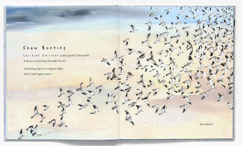 Бумажная книга «Snow Birds», автор Кирстен Холл - фото №3 - миниатюра