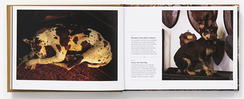 Бумажная книга «Best Friends Forever. The Greatest Collection of Taxidermy Dogs on Earth», автор Джей Ди Пауэр - фото №2 - миниатюра