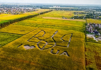 «Листівка "Герб" (C-YJQ)», бренда CakeTravel - фото №1 - миниатюра