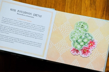 Бумажная книга «Succulents in a Book. Jacket Comes Off. Plants Pop Up. Display on Your Desk!», автор Молли Хэтч - фото №2 - миниатюра