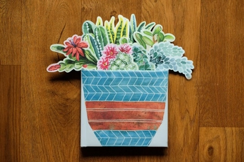 Бумажная книга «Succulents in a Book. Jacket Comes Off. Plants Pop Up. Display on Your Desk!», автор Молли Хэтч - фото №6 - миниатюра