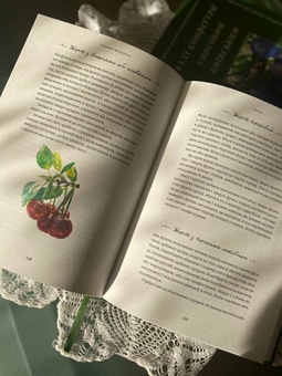 Бумажная книга «Сухі конфітури способом київським», автор Мария Марцишевская - фото №2 - миниатюра