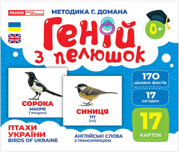 Бумажная книга «Комплект Геній з пелюшок. Демонстраційний матеріал (набори карток)» - фото №3 - миниатюра