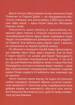 Бумажная книга «Божество Доброти», авторов Лариса Дубас, Надежда Полянчич-Билецкая - фото №2 - миниатюра