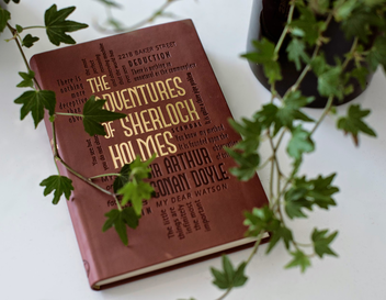 Бумажная книга «The Adventures of Sherlock Holmes», автор Артур Конан Дойл - фото №4 - миниатюра