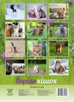 Бумажная книга «Календар "Породи кішок" 2027» - фото №2 - миниатюра
