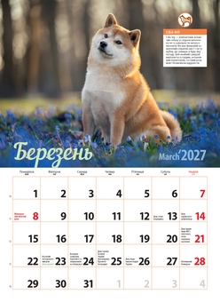 Paper book «"Dog Breeds" Calendar 2027» - фото №3 - миниатюра