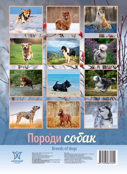 Paper book «"Dog Breeds" Calendar 2027» - фото №2 - миниатюра
