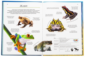 Бумажная книга «Велика книга тварин», автор Клаудия Мартин - фото №6 - миниатюра