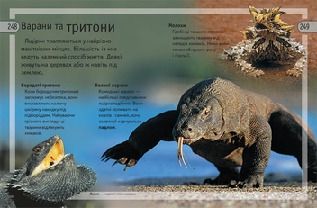 Бумажная книга «Велика енциклопедія дошкільняти» - фото №5 - миниатюра