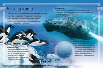 Бумажная книга «Велика енциклопедія дошкільняти» - фото №4 - миниатюра