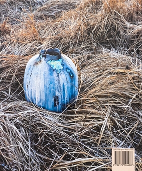 Бумажная книга «Contemporary Ukrainian Crafts / Традиційні ремесла у сучасному виконанні», авторов Люсия Бондарь, Анастасия Билецкая, Михаил Бокотей, Галина Истомина, Зинаида Косицкая, Татьяна Соловей, Ольга Ямборко, Ульяна Хромяк - фото №2 - миниатюра