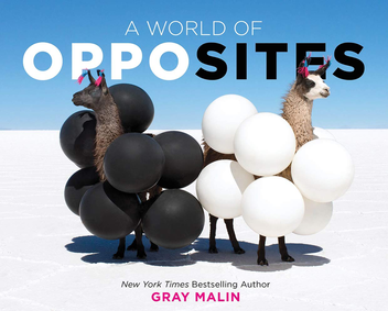 Бумажная книга «A World of Opposites», автор Грэй Мэлин - фото №1 - миниатюра