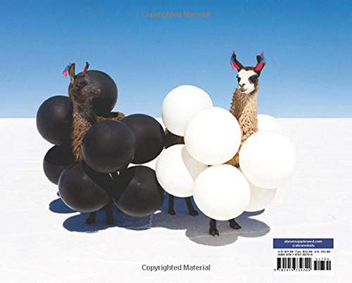 Бумажная книга «A World of Opposites», автор Грэй Мэлин - фото №2 - миниатюра