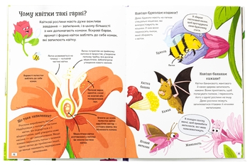 Бумажная книга «Хочу все знати про рослини», автор Камилла де ла Бедваер - фото №5 - миниатюра
