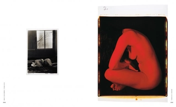 Бумажная книга «The Polaroid Book», автор Барбара Хичкок - фото №8 - миниатюра