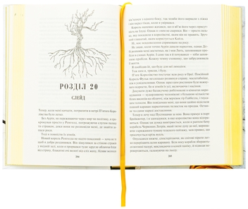 Бумажная книга «Золото. Книга 5», автор Рэйвен Кеннеди - фото №5 - миниатюра