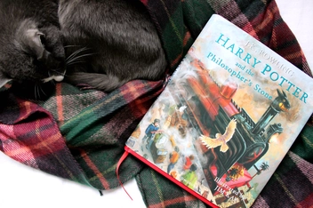 Бумажная книга «Harry Potter and the Philosopher's Stone. Illustrated Edition», автор Джоан Роулинг - фото №11 - миниатюра