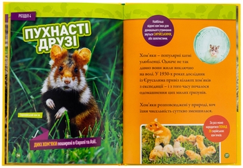 Паперова книга «Шкряб! 100 цікавих фактів про гризунів», автор Роуз Девідсон - фото №6 - мініатюра
