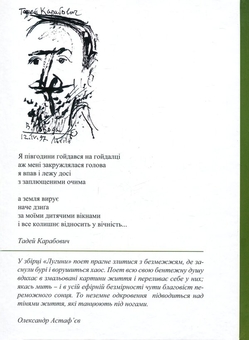 Паперова книга «Лугини», автор Тадей Карабович - фото №2 - мініатюра