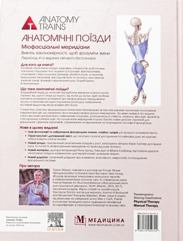 Бумажная книга «Анатомічні поїзди. Міофасціальні меридіани для мануальних терапевтів і фахівців із відновлення руху», автор Томас В. Маерс - фото №2 - миниатюра