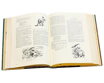 Паперова книга «Lewis Carroll. The Complete Works», автор Льюїс Керрол - фото №7 - мініатюра