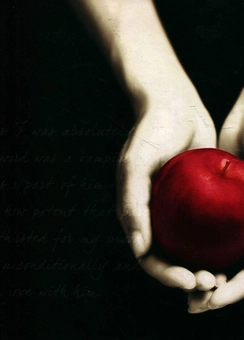 Паперова книга «The Twilight Saga Journals. Boxed Set (комплект из 4 записных книжек)» - фото №2 - мініатюра