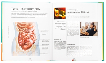 Бумажная книга «Вагітність день за днем», автор Мэгги Блотт - фото №6 - миниатюра