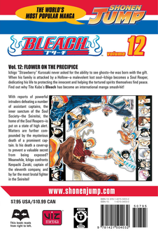 Паперова книга «Bleach. Volume 12», автор Тайто Кубо - фото №2 - мініатюра