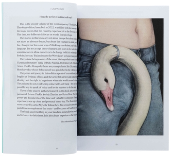 Бумажная книга «Contemporary Ukrainian prose & poetry in Vogue Ukraine / Сучасна українська проза та поезія. Том 2», авторов Сергей Жадан, Юрий Издрык, София Андрухович, Ирэна Карпа, Ирина Славинская, Любко Дереш, Артем Чех, Гаська Шиян, Галина Крук, Анна Грувер, Артур Дронь, Карина Саварина, Роман Малиновский, Евгения Подобная, Роман Голубовский, Миша Гончаренко - фото №5 - миниатюра