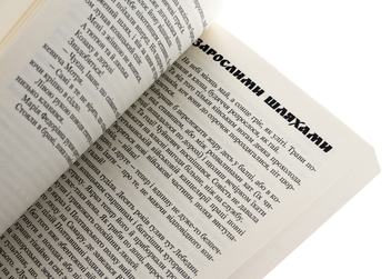 Бумажная книга «Трилогія «Мазепа». Книга 2. Не вбивай», автор Богдан Лепкий - фото №5 - миниатюра