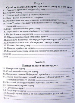 Паперова книга «Аудит», автор М. Огійчук - фото №2 - мініатюра
