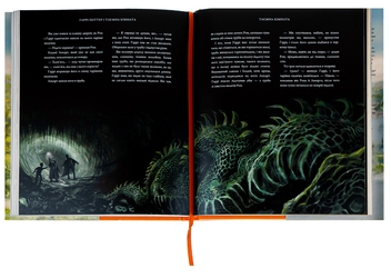 Бумажная книга «Гаррі Поттер і таємна кімната. Ілюстроване видання», автор Джоан Роулинг - фото №6 - миниатюра