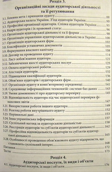 Паперова книга «Аудит», автор М. Огійчук - фото №3 - мініатюра