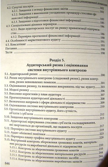 Паперова книга «Аудит», автор М. Огійчук - фото №4 - мініатюра