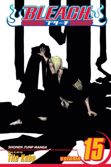 Паперова книга «Bleach. Volume 15», автор Тайто Кубо - фото №1 - мініатюра