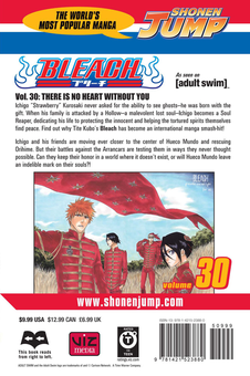 Паперова книга «Bleach. Volume 30», автор Тайто Кубо - фото №2 - мініатюра