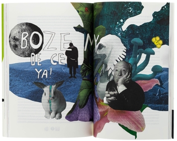 Паперова книга «Кайдашева сім'я», автор Іван Нечуй-Левицький - фото №5 - мініатюра