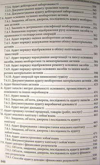 Паперова книга «Аудит», автор М. Огійчук - фото №6 - мініатюра
