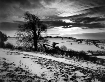 Паперова книга «In England», автор Дон МакКалін - фото №9 - мініатюра